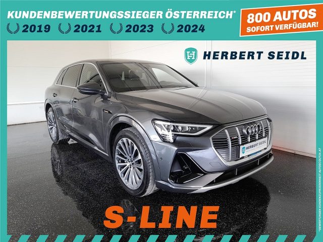 Audi e-tron 50 quattro  S-line *NP 89.479,-/ HEAD UP / 21 ZOLL /  AHV & KAMERA / LED / VIRTUELL*